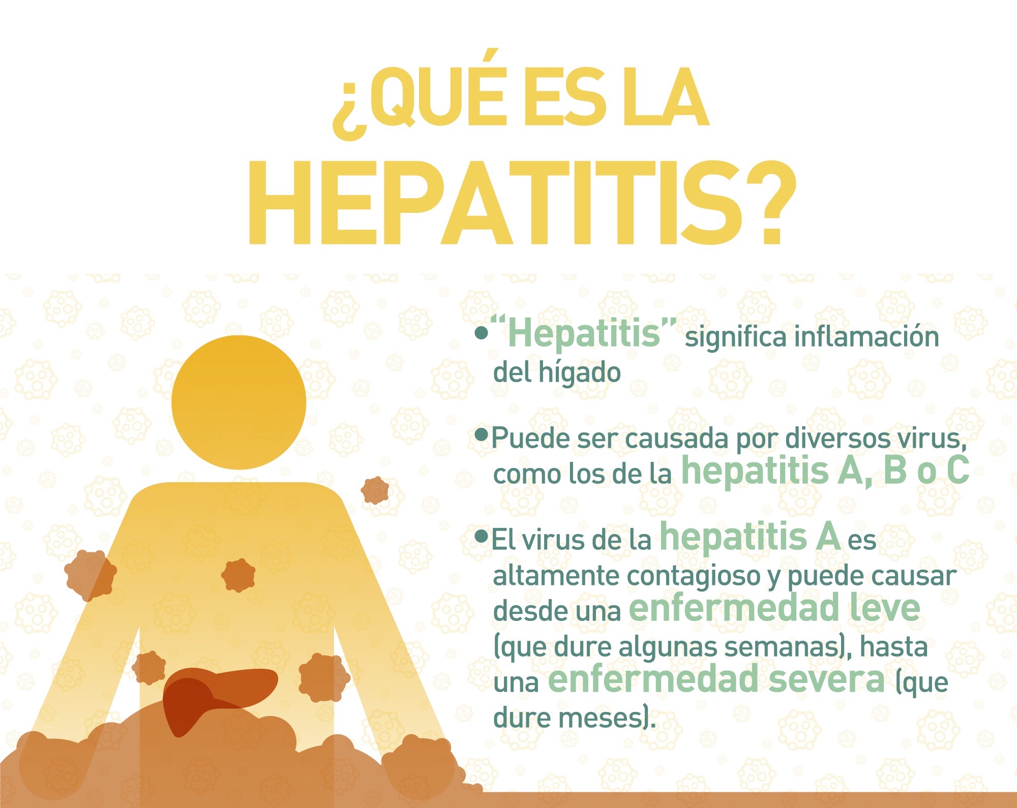 ¿Qué es la Hepatitis? "Hepatitis" significa inflamación del hígado. Puede ser causuada por diversos virus, como los de la hepatitis A, B o C. El virus de la hepatitis A es altamente contagioso y puede causar desde una enfermedad leve (que dure algunas semanas), hasta una enfermedad severa (que dure meses) 