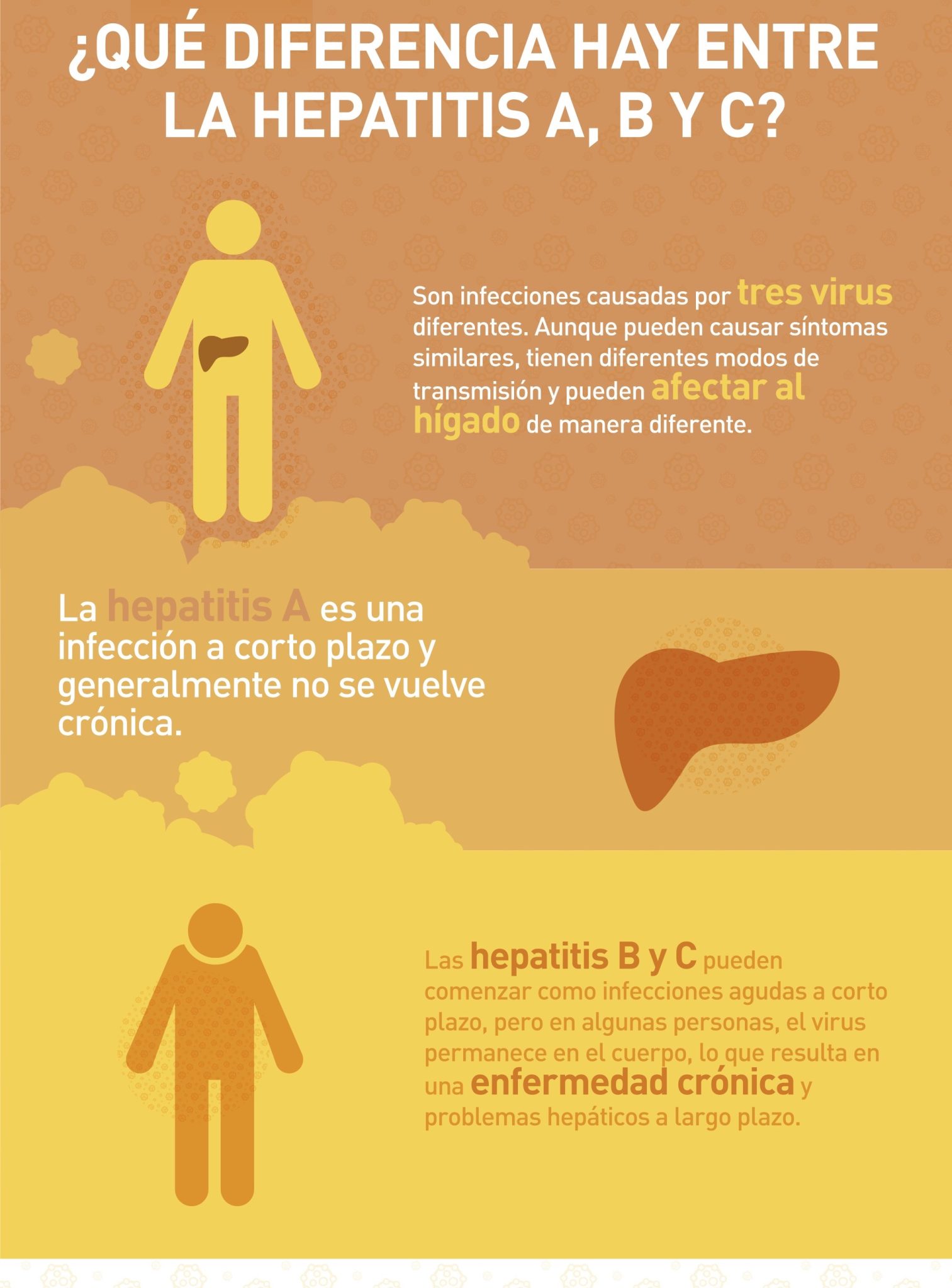 Qué es la Hepatitis 2