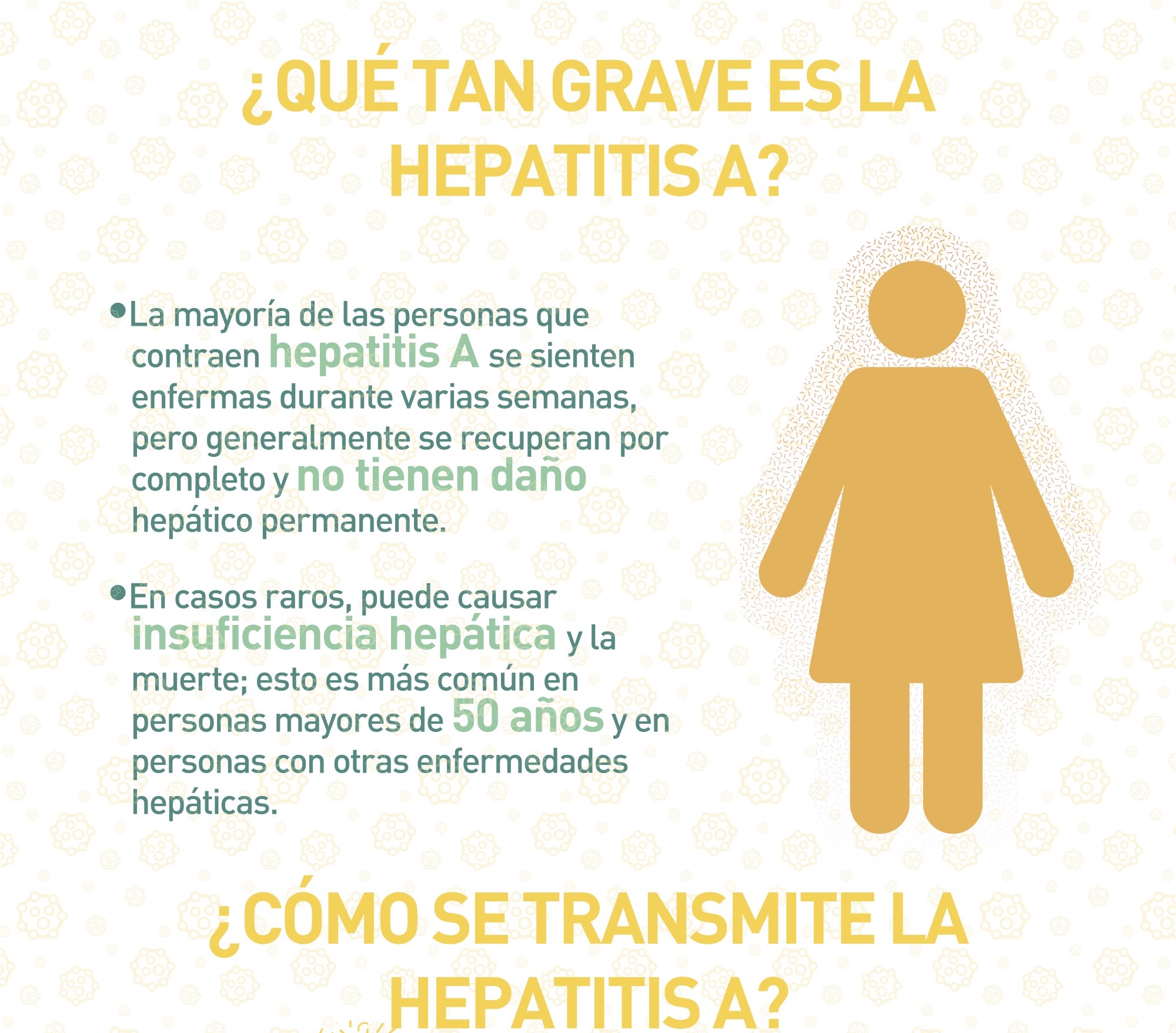 Qué es la Hepatitis 3