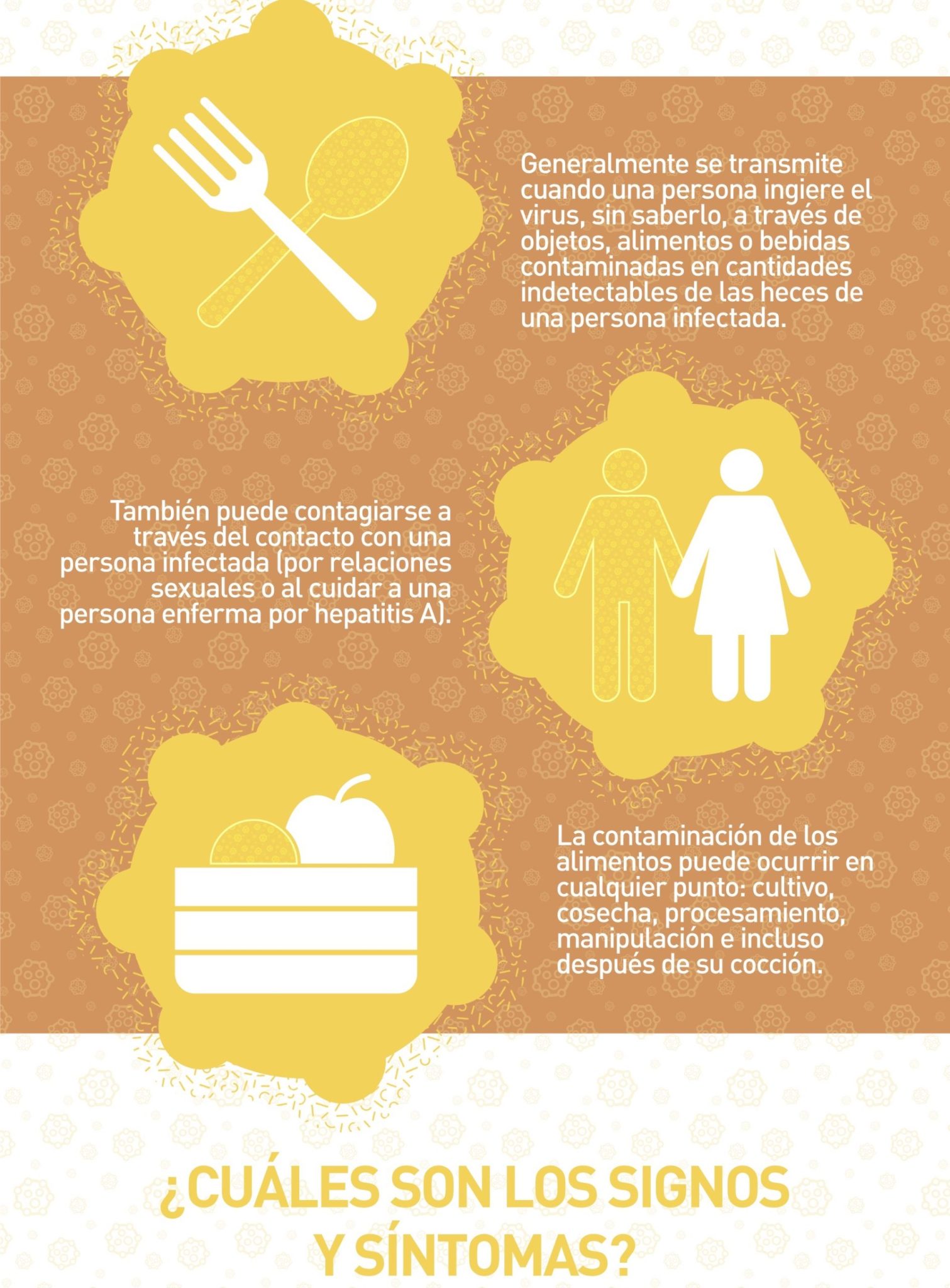 Qué es la Hepatitis 4