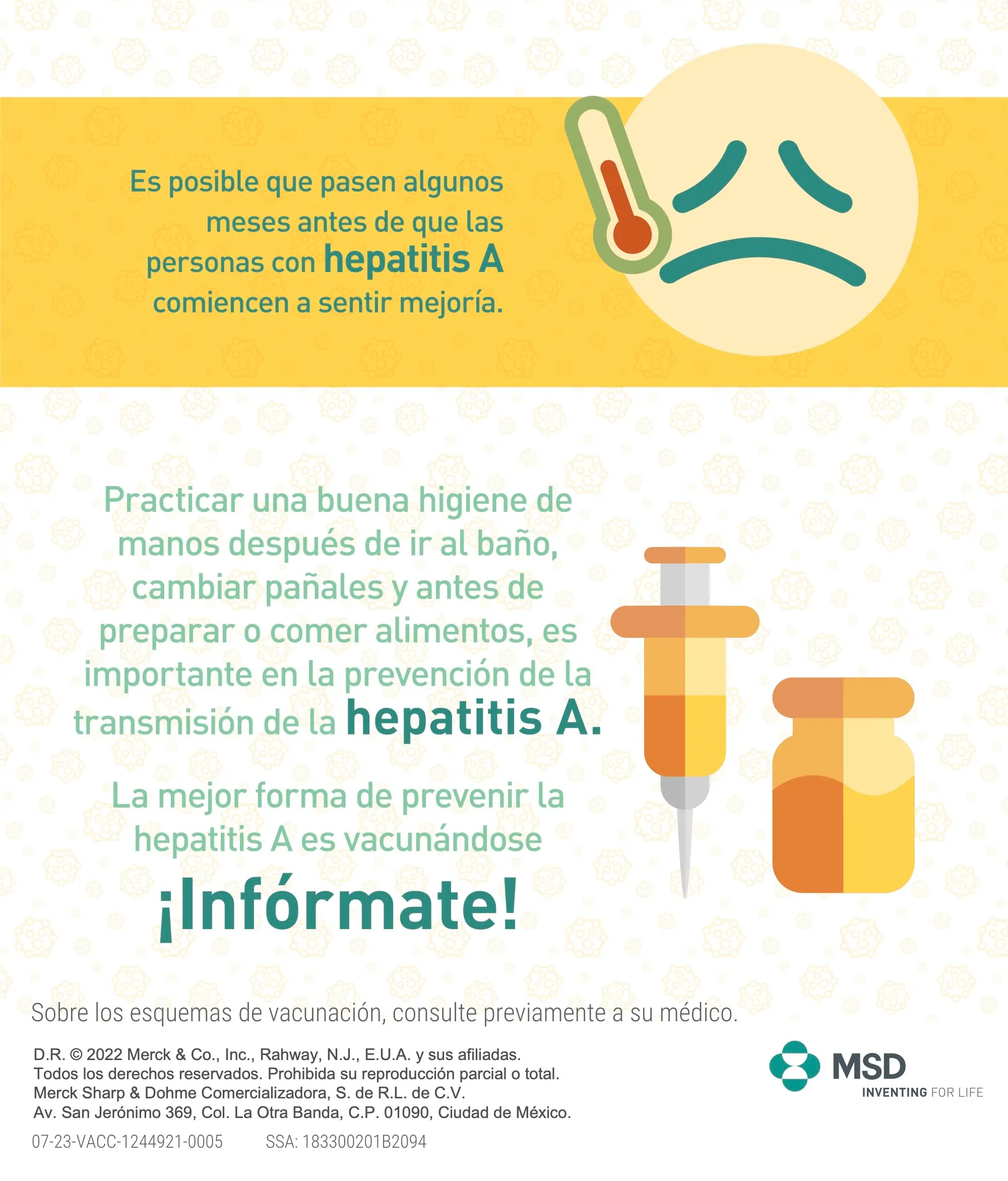 Qué es la Hepatitis 6