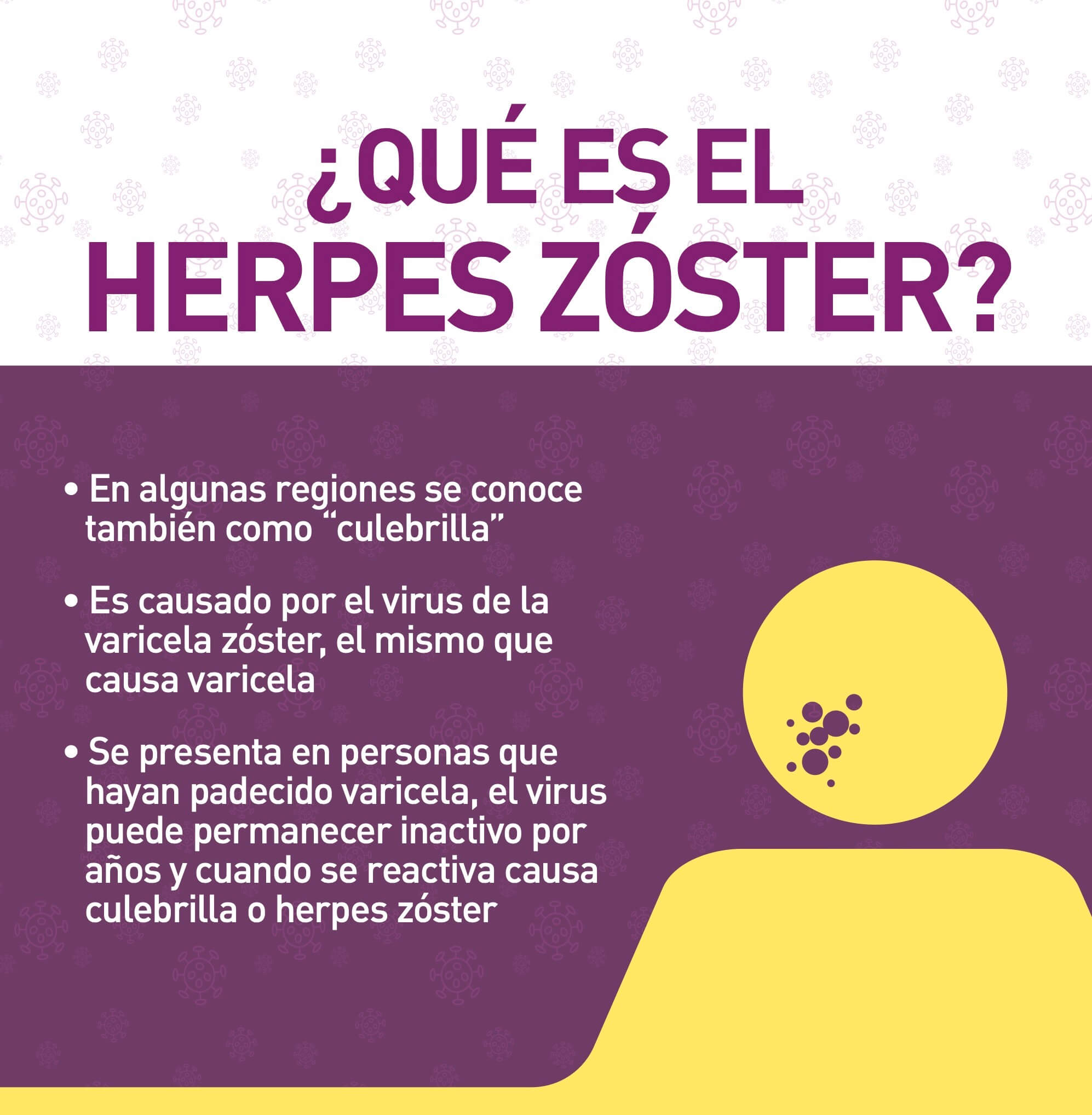 ¿Qué es el Herpes Zoster? 1