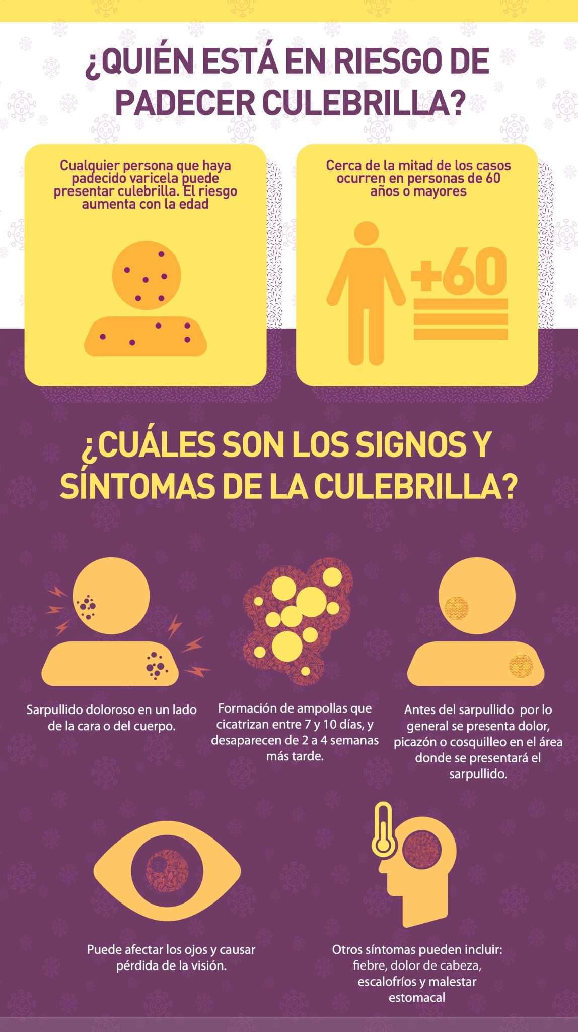 ¿Qué es el Herpes Zoster? 3