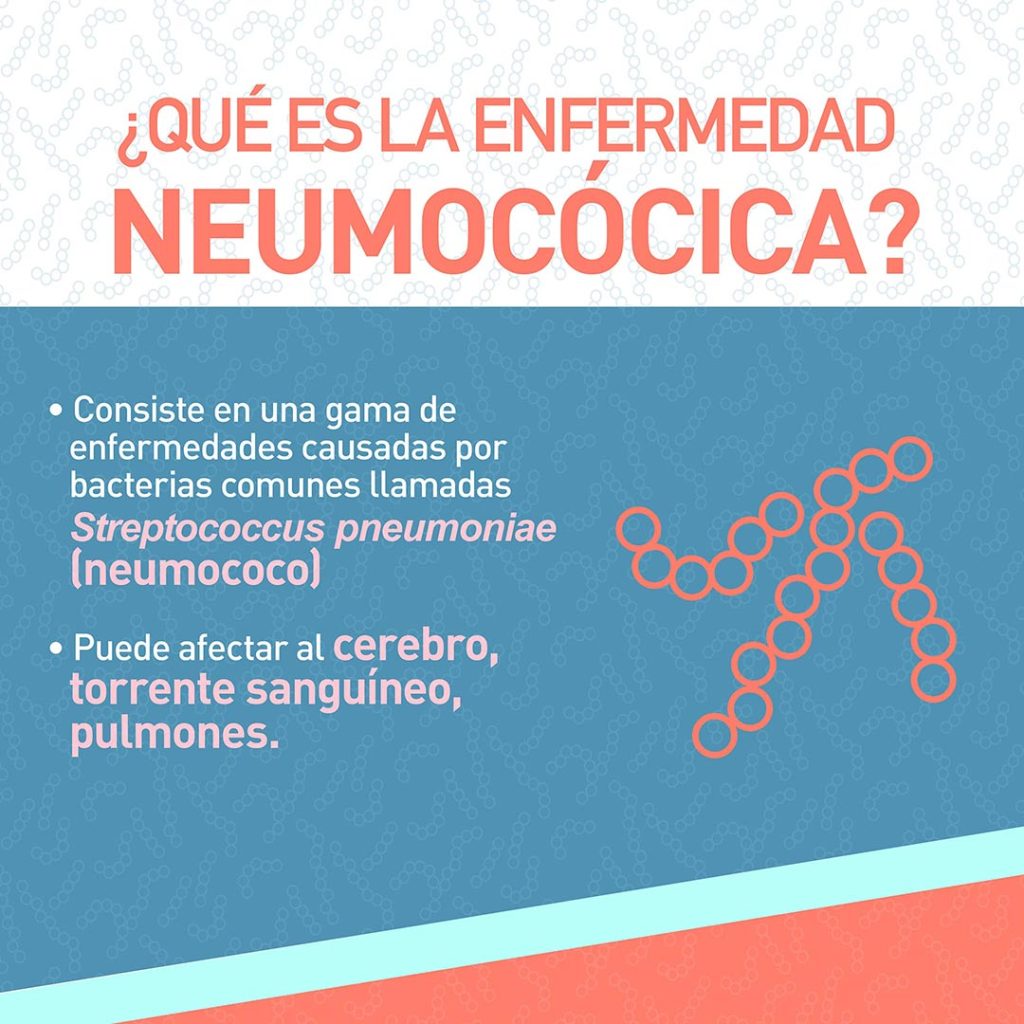 Infografia-Neumococo