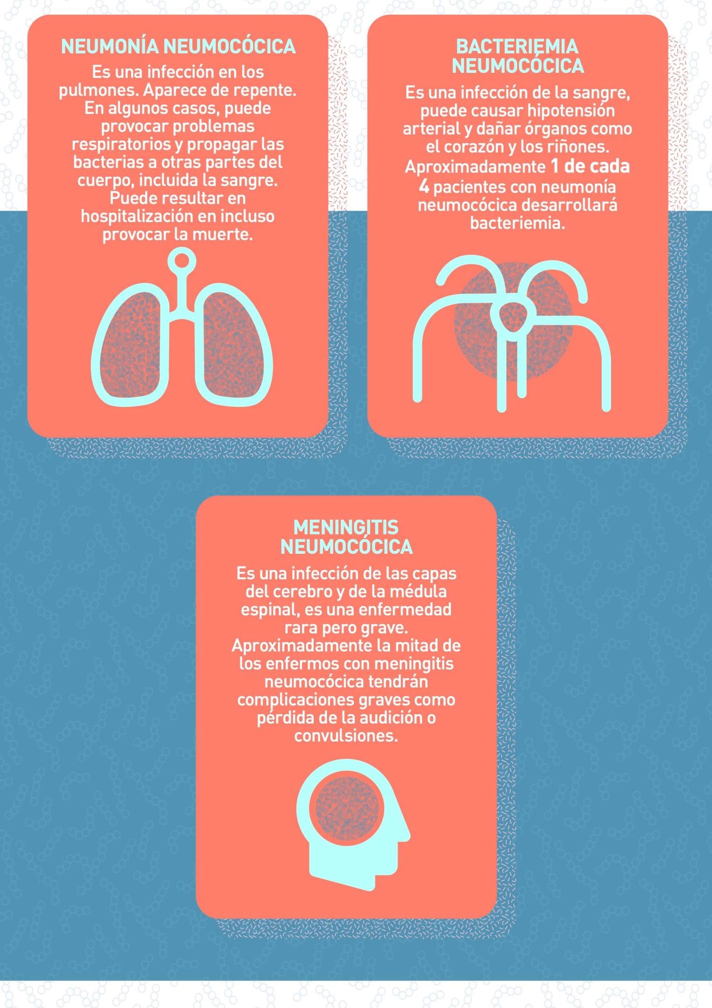 ¿Qué es la Enfermedad Neumocócica? 4