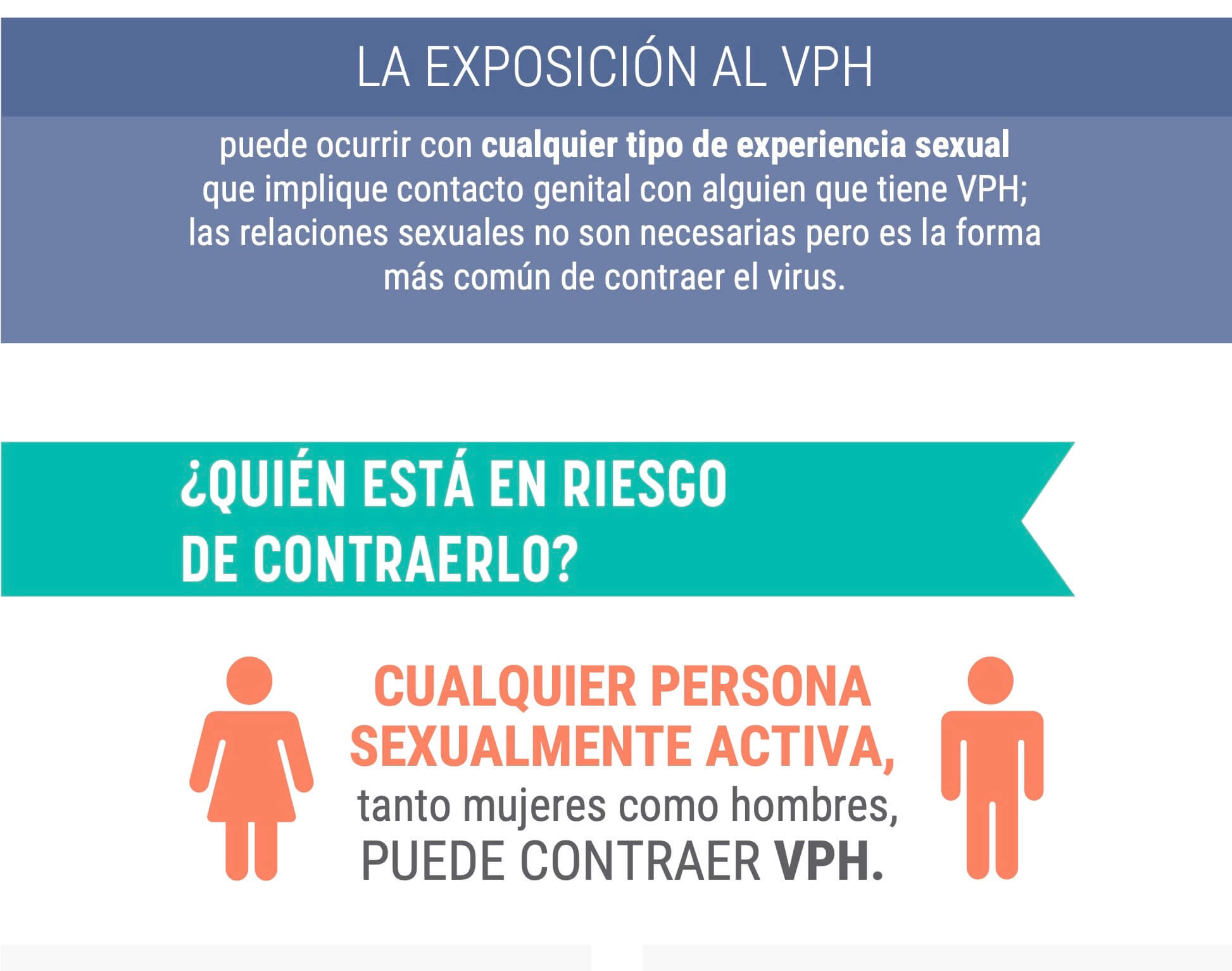 Virus del Papiloma Humano en Mujeres y Hombres 4
